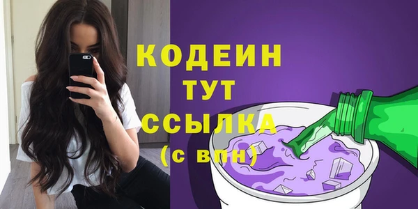 прущие грибы Кулебаки