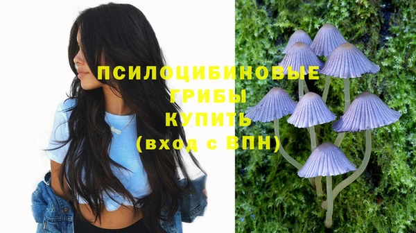 гидропоника Куйбышев