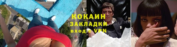 прущие грибы Кулебаки