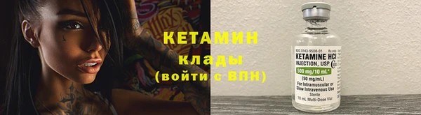 прущие грибы Кулебаки