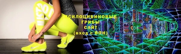 mdpv Краснослободск