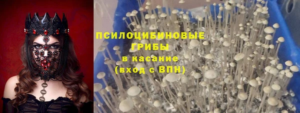 прущие грибы Кулебаки