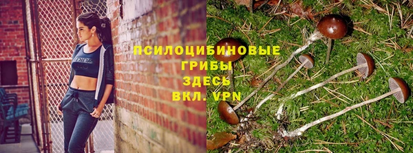 амф Красноперекопск