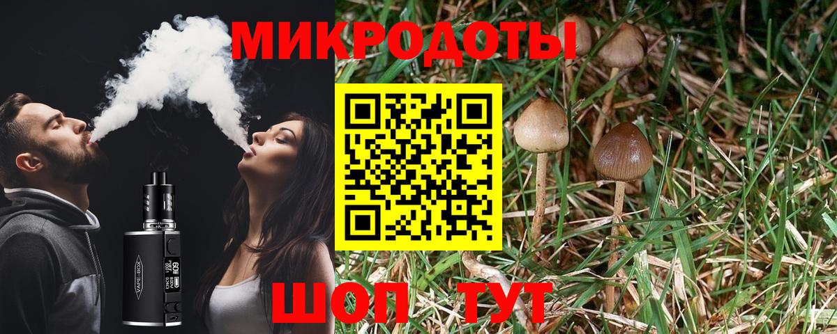 Галлюциногенные грибы GOLDEN TEACHER Коркино