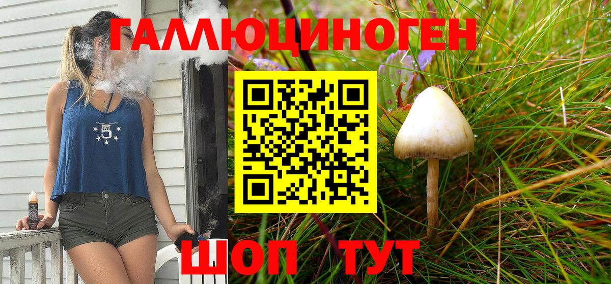 Галлюциногенные грибы Cubensis  Вход с VPN  Псилоцибиновые грибы Psilocybe  Коркино 